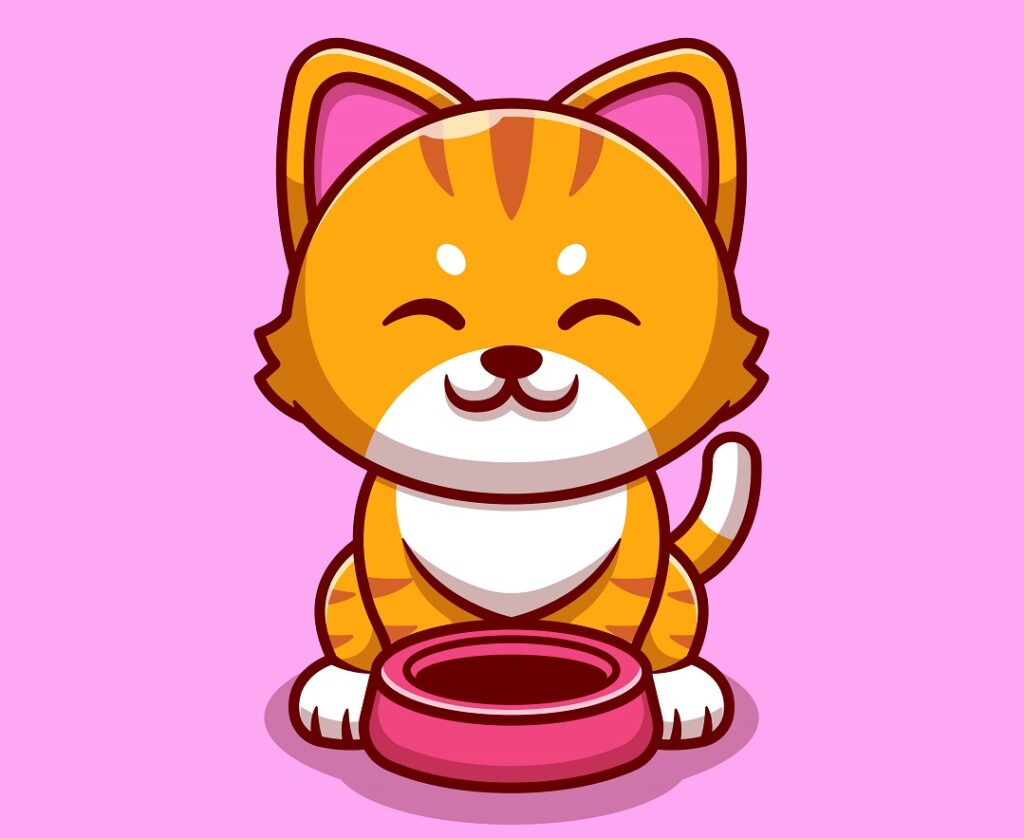 best cat dry food