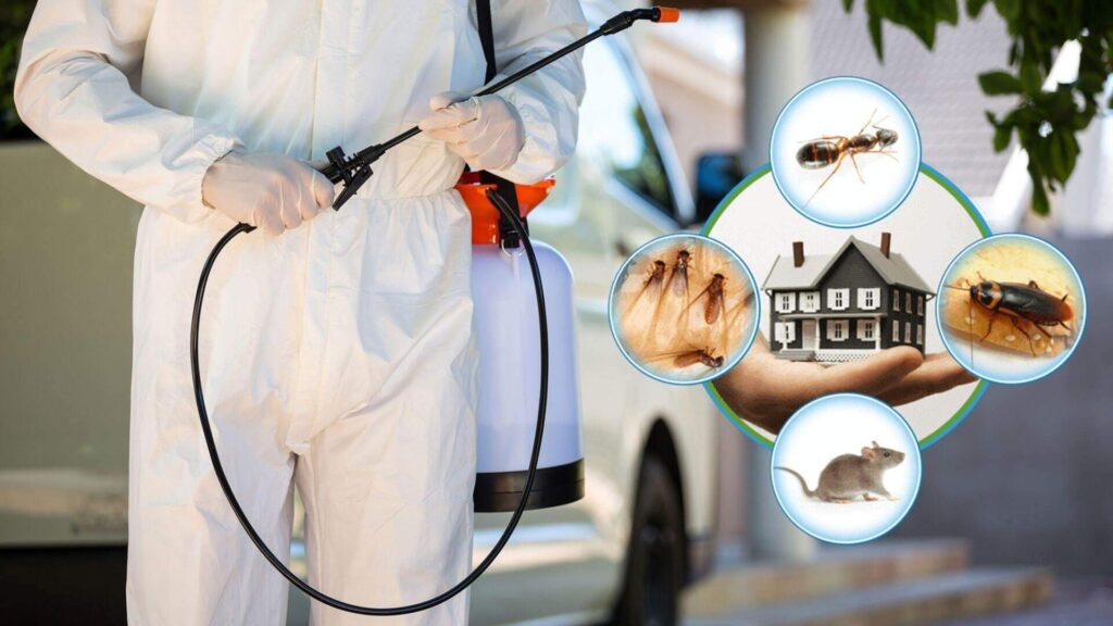 pest control surrey